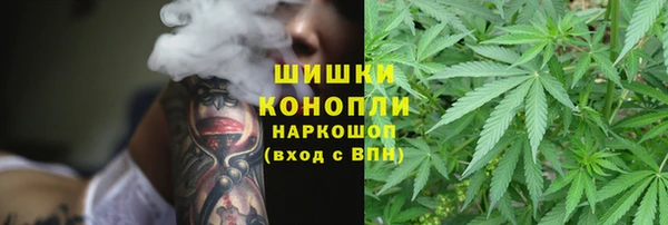 apvp Богородск