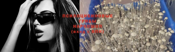 jwh Богородицк