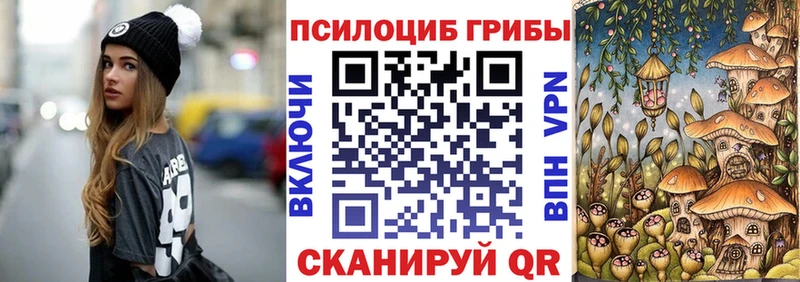 купить  сайты  Грозный  Галлюциногенные грибы мицелий 