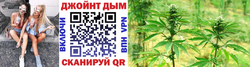 где купить наркоту  Грозный  MEGA ссылки  Конопля семена 
